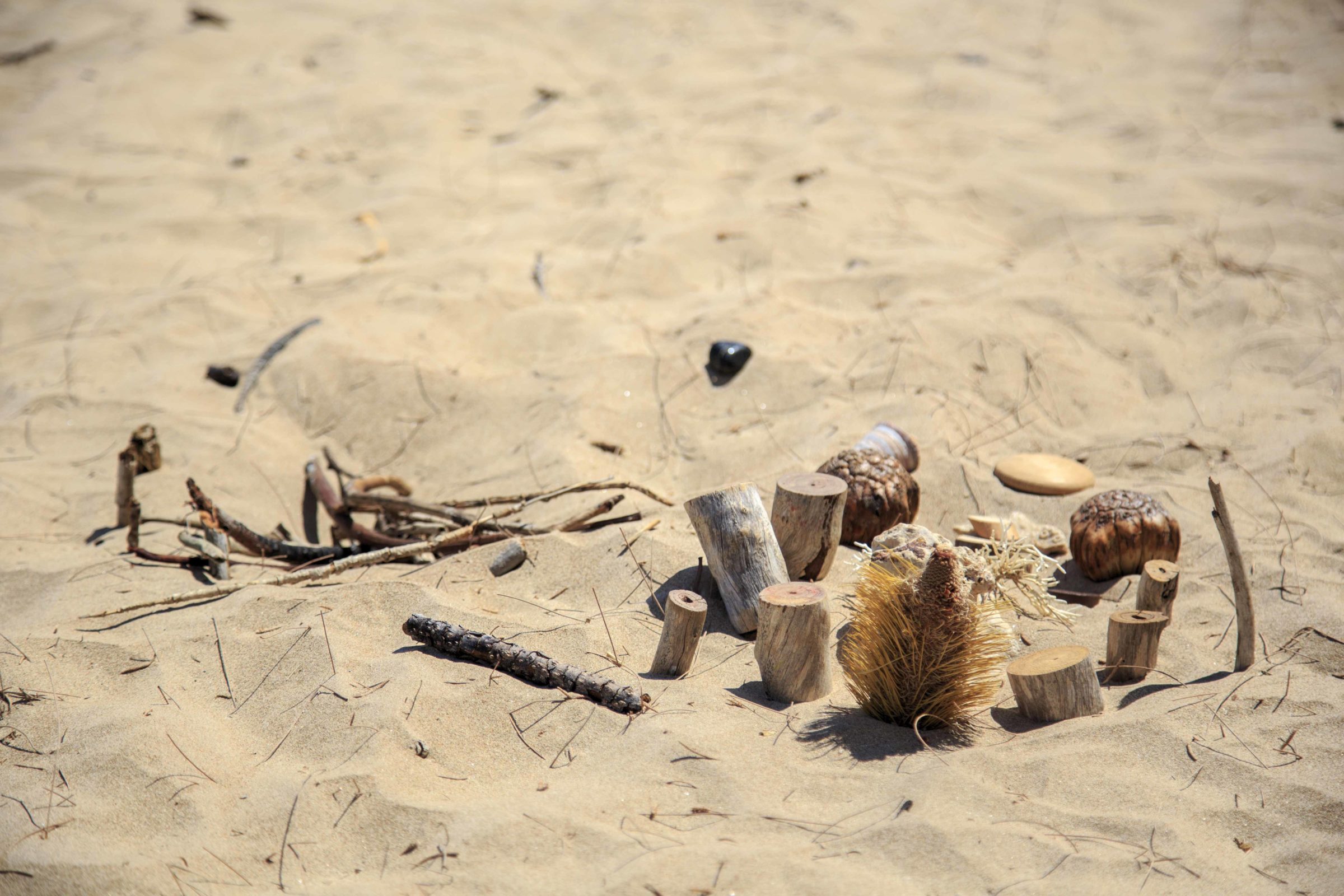 Children's Interactions with Loose Parts